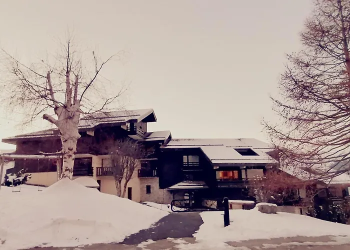 Aux Pieds, Animaux Admis, Parking Gratuit - Fr-1-181-2861 Apartment